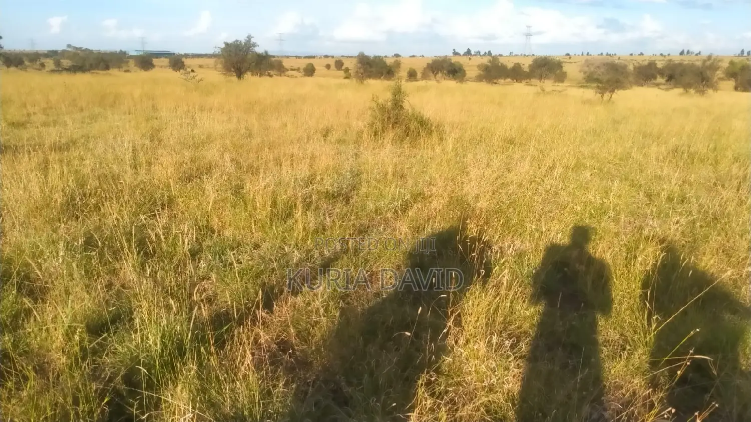 15 Acres for Sale Isinya