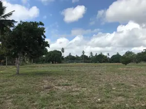 2 Acres Land in Kwale County, Kenya - Sellers Ready to Negotiate!