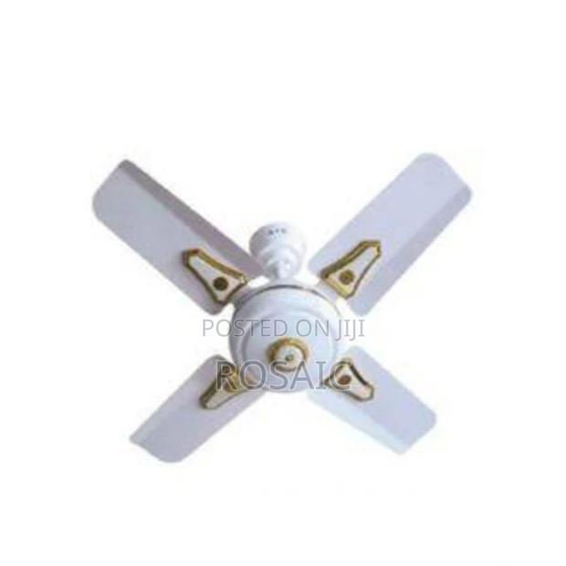 Windsor 24" Inches Ceiling Fan, Ceiling Fan