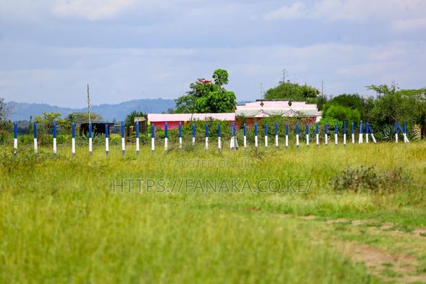 Malaa Plots^JMM - thumbnail 3