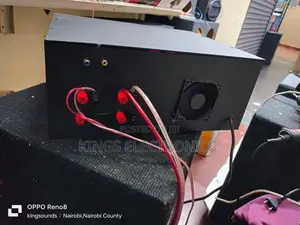 Kijana Mono Amplifier