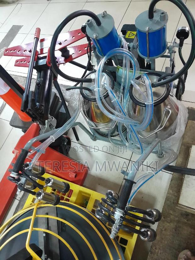 Electric Milking Machine / Double Bucket - main view