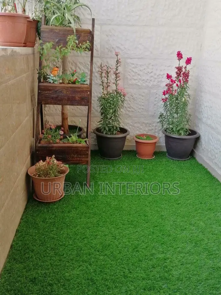 Turf Grass Turf Grass Turf Grass Turf Grass Turf Grass