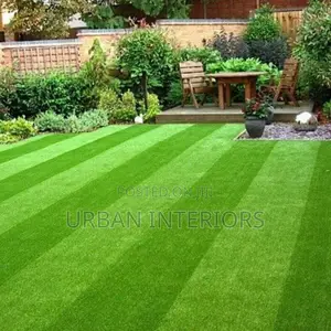 Grass Carpet Grass Carpet Grass Carpet Grass Carpet