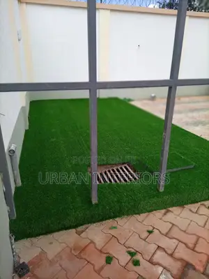 Grass Carpet Grass Carpet Grass Carpet Grass Carpet