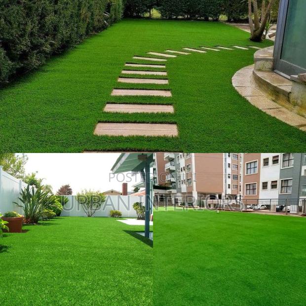 Grass Carpet Grass Carpet Grass Carpet Grass Carpet