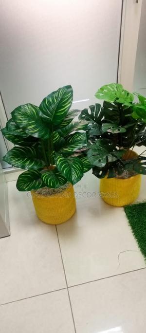 Yellow Basket and Plant Offer Price