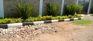 Landscaping Service