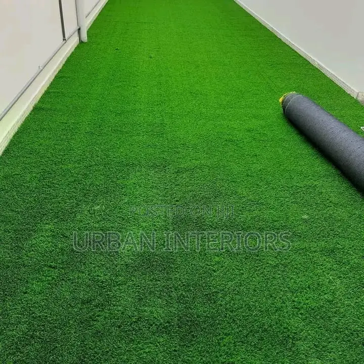 Grass Carpet Grass Carpet Grass Carpet Grass Carpet