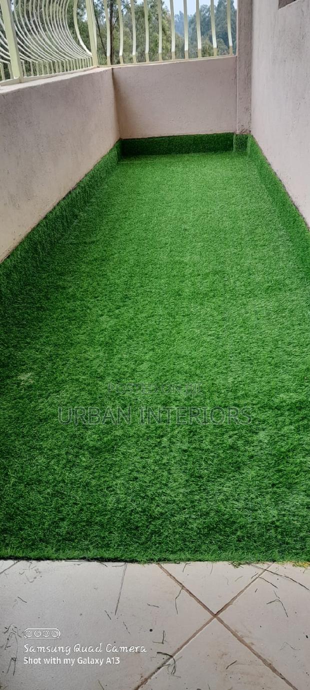 Grass Carpet Grass Carpet Grass Carpet Grass Carpet - main view