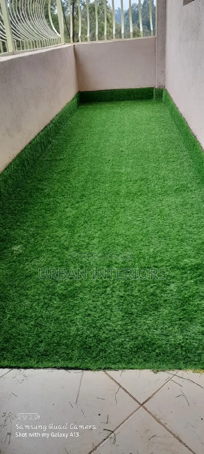Grass Carpet Grass Carpet Grass Carpet Grass Carpet