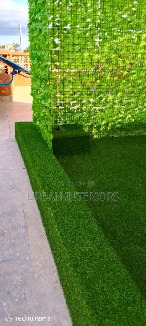 Grass Carpet Grass Carpet Grass Carpet Grass Carpet - main view