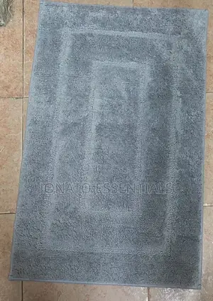 Thickened Absorbent Doormat, Rug
