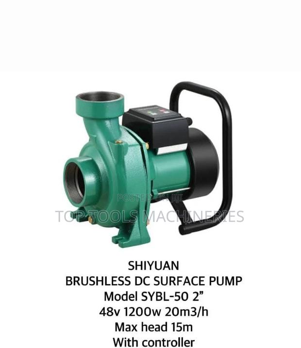 Shiyuan Brushless DC Surface Pump Model SYBL-50 2 " 48V - main view