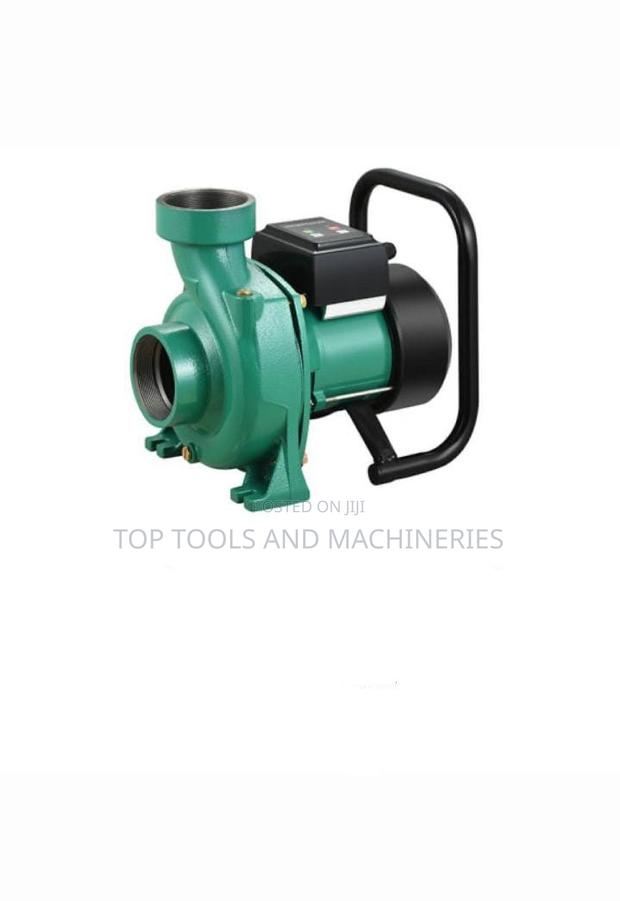 Shiyuan 2 Inch Brushless DC Surface Pump With Controller - main view