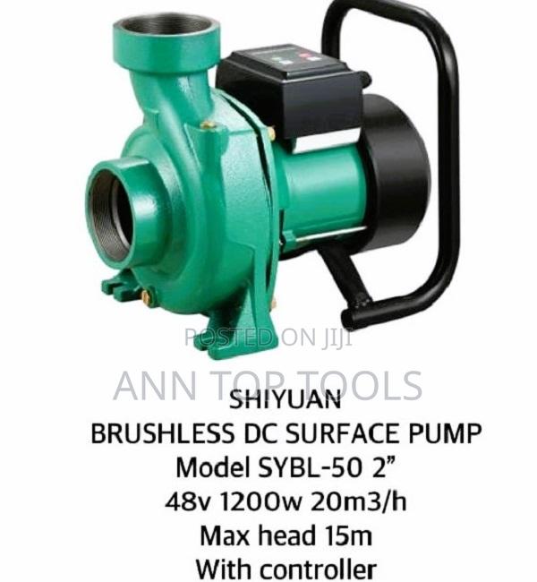 Shiyuan Brushless Surface Pump 2"Inch - main view