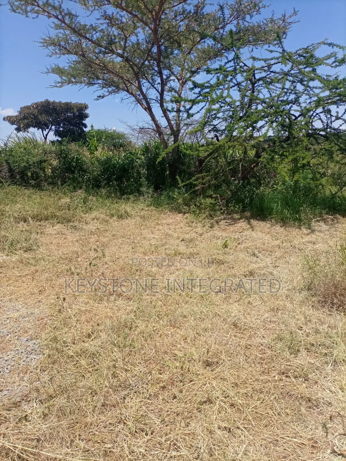 Plot for Sale in Kajiado