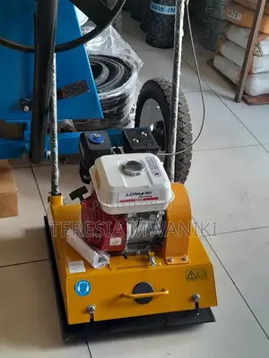 Vibrating Plate Compactor/ Cabro Compactor