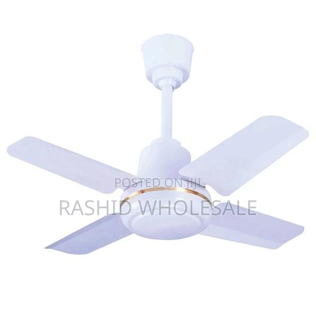 Windsor Ceiling Fan