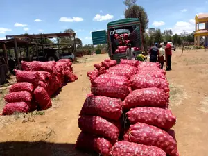 Sale of Onions