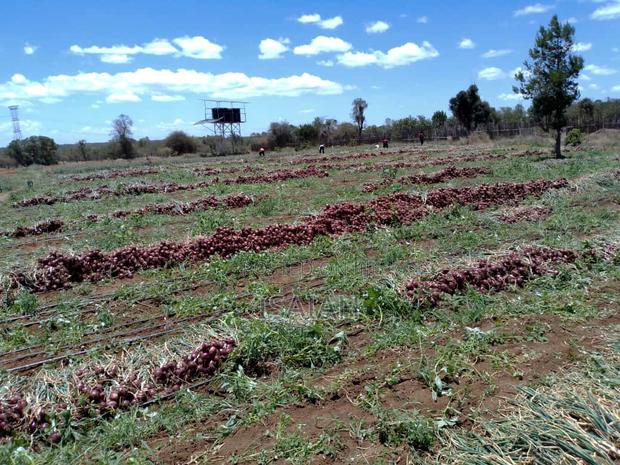 Land for Sale - main view