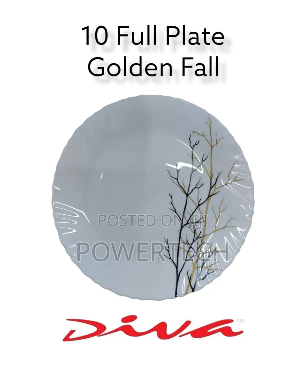 Set of 6 Diva Plates(Signature)
