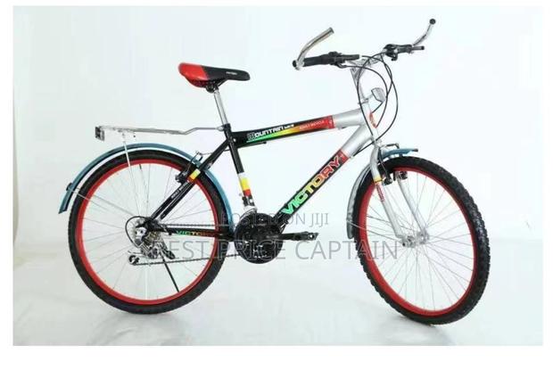 Size 24 Victory Kids Bike - main view