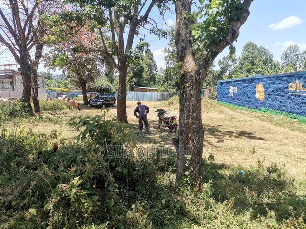 2 Ideal Plot for Sale. - main view