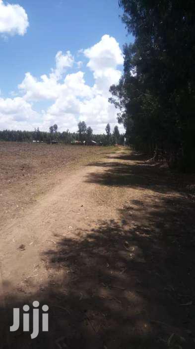 Selling 10 Acres in Nyahururu Oljololok - thumbnail 2