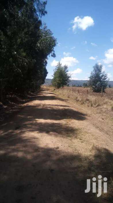 Selling 10 Acres in Nyahururu Oljololok - thumbnail 3