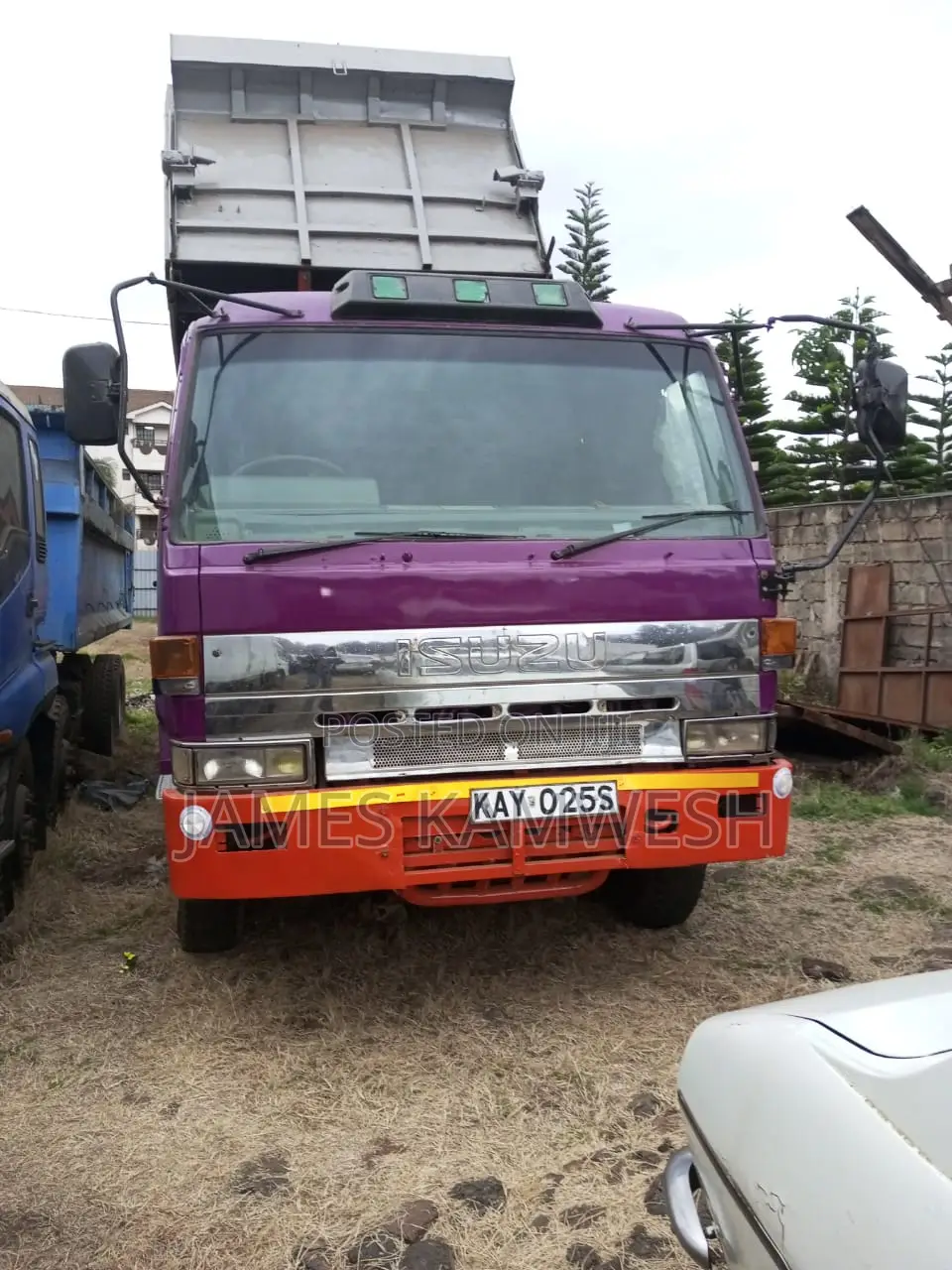 Isuzu Giga Tipper