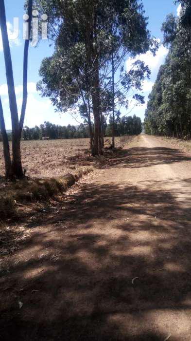 Selling 10 Acres in Nyahururu Oljololok - thumbnail 4