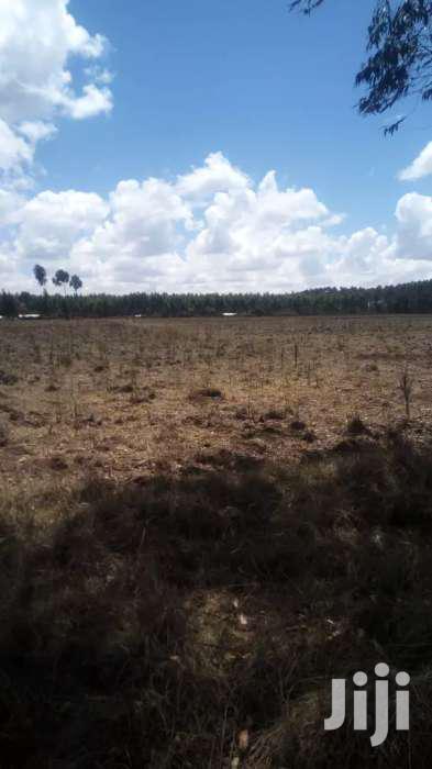 Selling 10 Acres in Nyahururu Oljololok - thumbnail 5