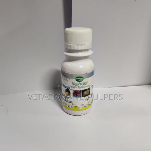 Bigo 400SC Fungicide