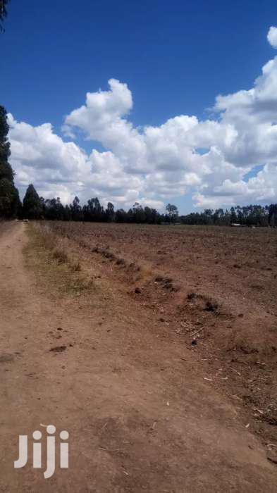 Selling 10 Acres in Nyahururu Oljololok - thumbnail 6