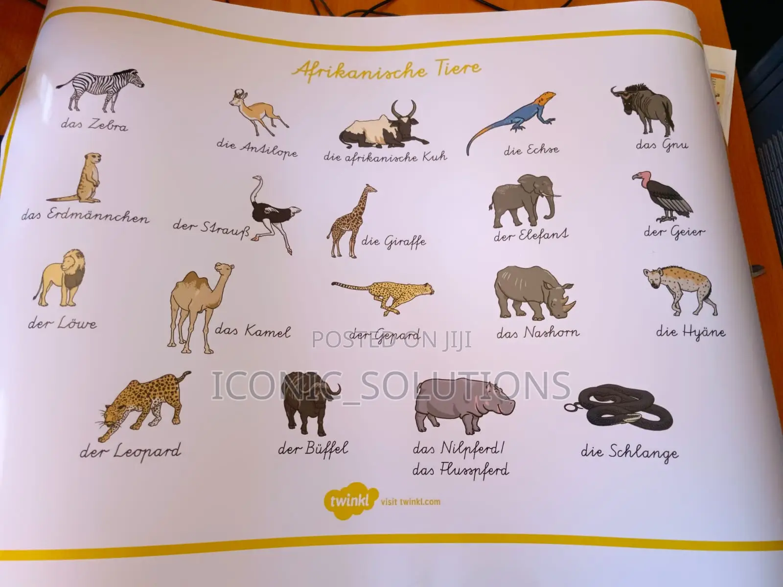 A1-Size School Charts