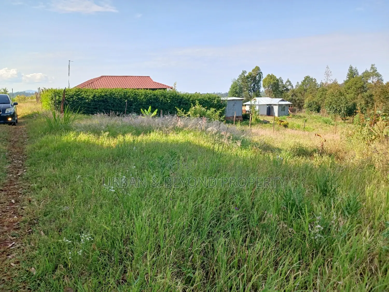 Affordable Prime Plot for Sale (50 by 100ft)