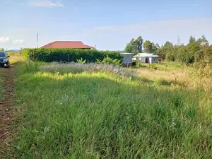 Affordable Prime Plot for Sale (50 by 100ft)
