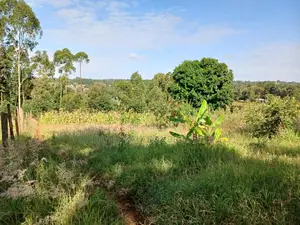 Affordable Prime Plot for Sale (50 by 100ft)