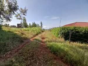 Affordable Prime Plot for Sale (50 by 100ft)