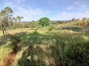 Affordable Prime Plot for Sale (50 by 100ft)