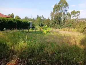 Affordable Prime Plot for Sale (50 by 100ft)