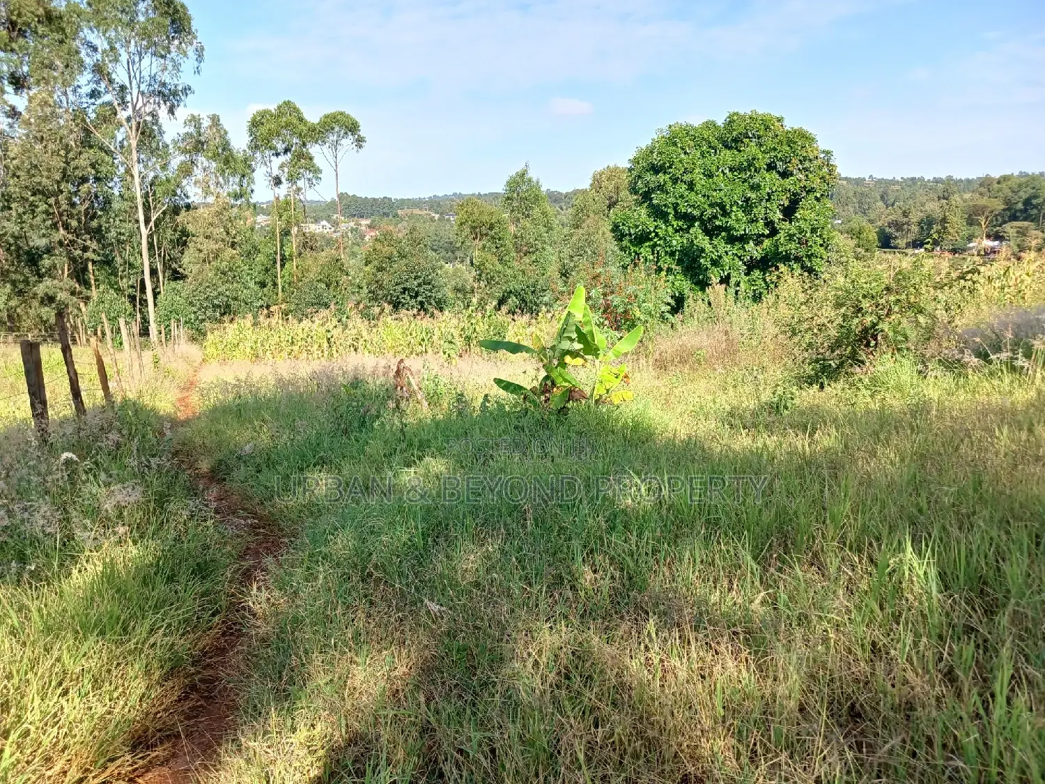 Affordable Prime Plot for Sale (50 by 100ft)