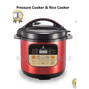 Programmable Electric Cooker
