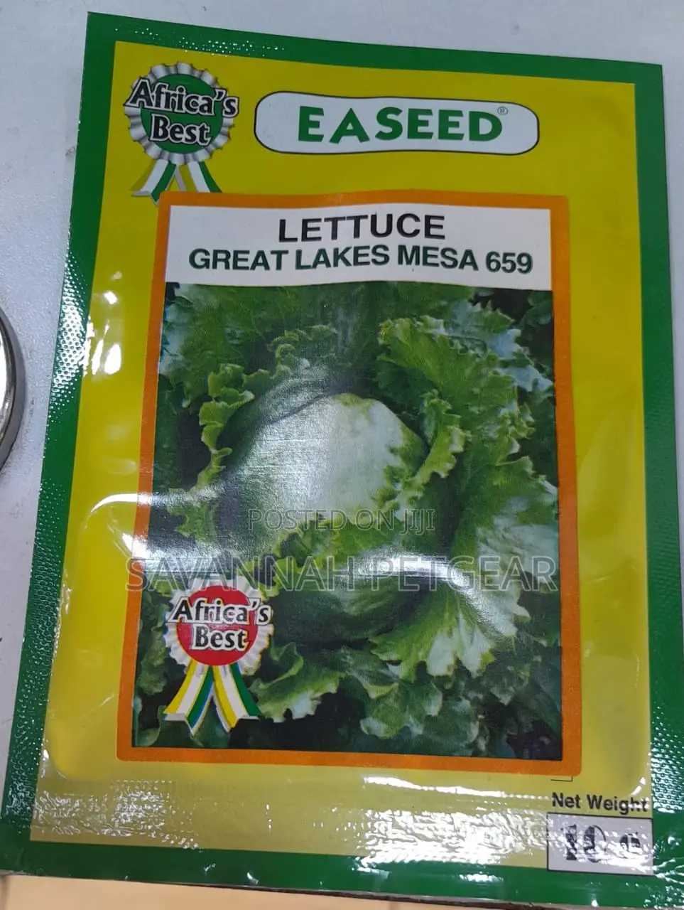 Lettuce Great Lakes Mesa Seeds 10gm