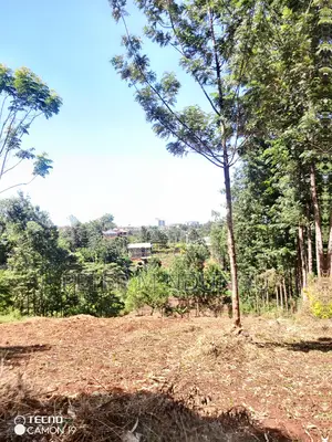 Ruaka Town 1/2 Acre on Sale