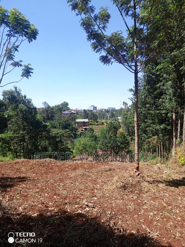 Ruaka Town 1/2 Acre on Sale - thumbnail 3