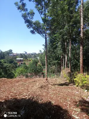 Ruaka Town 1/2 Acre on Sale