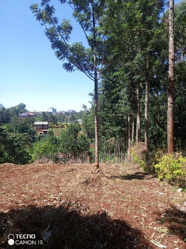 Ruaka Town 1/2 Acre on Sale - thumbnail 5
