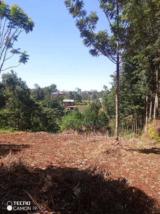 Ruaka Town 1/2 Acre on Sale - thumbnail 6